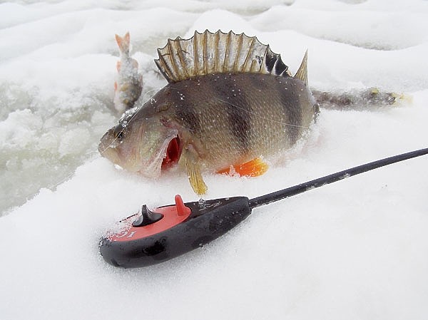 С мормышкой по разливу