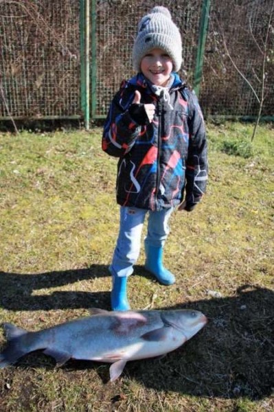 Толстолобик на ультралайт