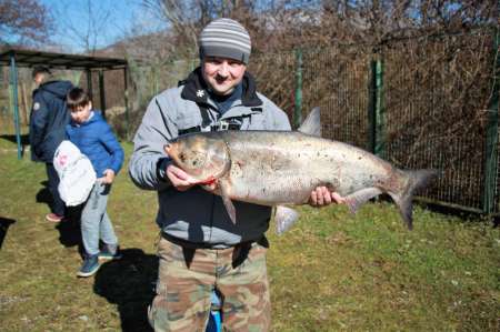 Толстолобик на ультралайт