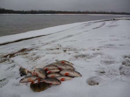 Весна идет, весне дорогу!