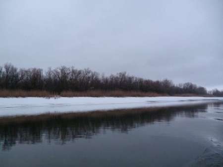 Весна идет, весне дорогу!