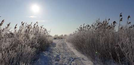 Второледье Второледье
