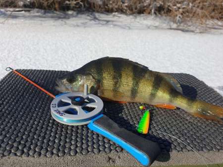 Второледье Второледье