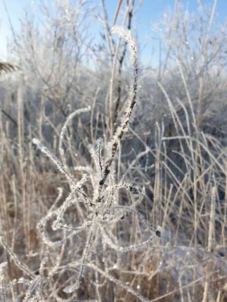 Второледье Второледье
