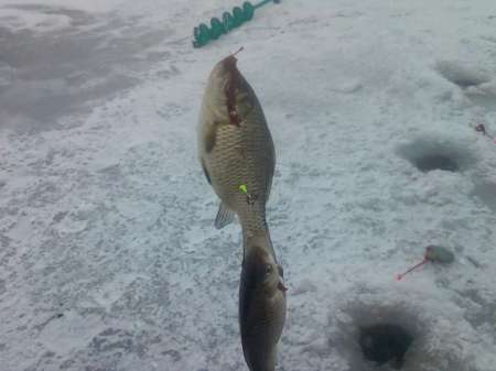 За карасём в снегопад За карасём в снегопад