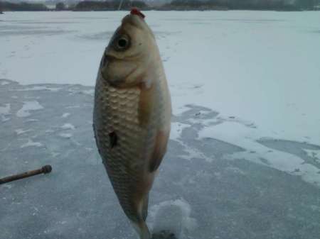За карасём в снегопад За карасём в снегопад