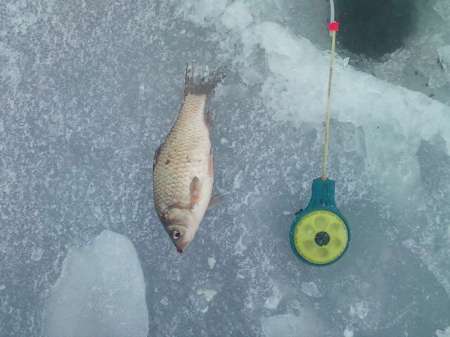 За карасём в снегопад За карасём в снегопад