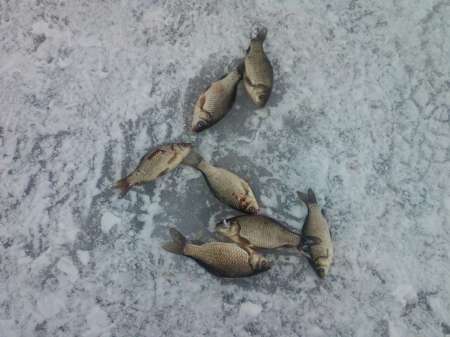 За карасём в снегопад За карасём в снегопад