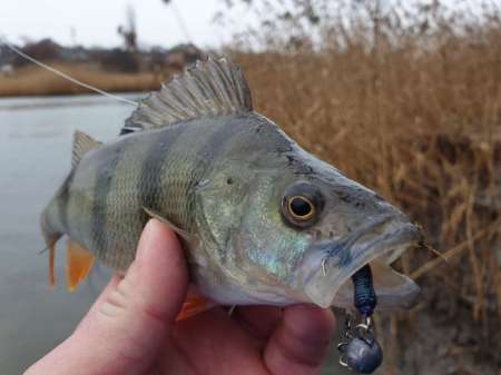 Дождь. Ловить или не ловить...