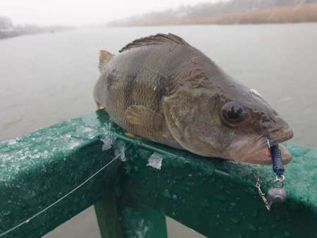 Дождь. Ловить или не ловить...
