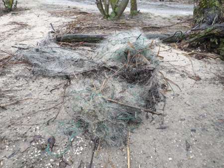 Дождь. Ловить или не ловить...