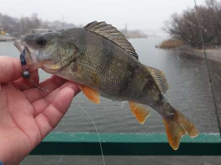 Дождь. Ловить или не ловить...