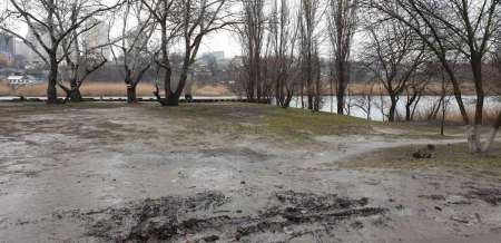 Дождь. Ловить или не ловить...