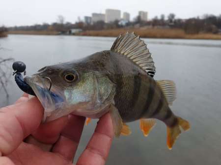 Дождь. Ловить или не ловить...