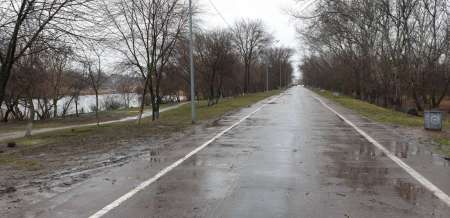 Дождь. Ловить или не ловить...