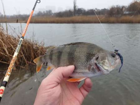 Дождь. Ловить или не ловить...