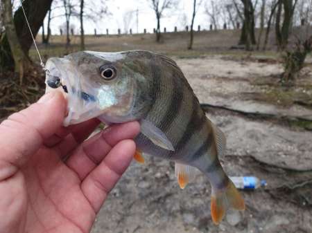 Дождь. Ловить или не ловить...