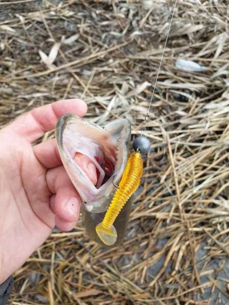 Хмуро и серо, но на рыбалку все равно