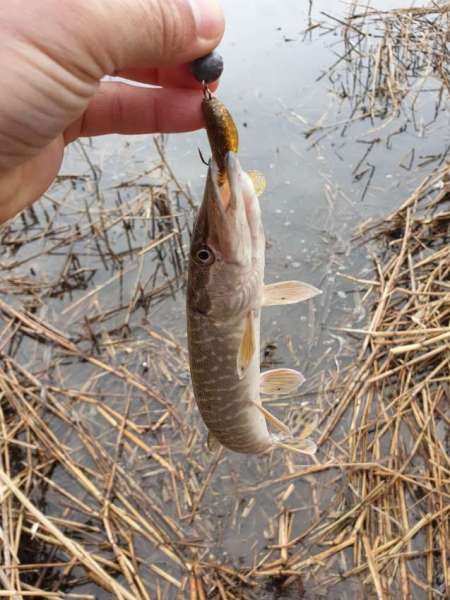 Хмуро и серо, но на рыбалку все равно