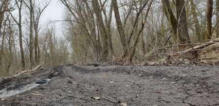 Хмуро и серо, но на рыбалку все равно