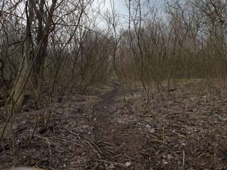 Хмуро и серо, но на рыбалку все равно