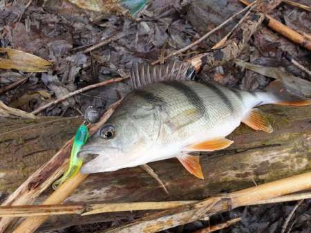 Хмуро и серо, но на рыбалку все равно
