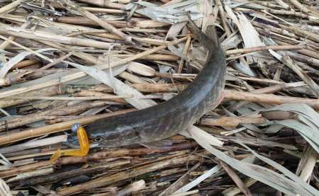 Хмуро и серо, но на рыбалку все равно