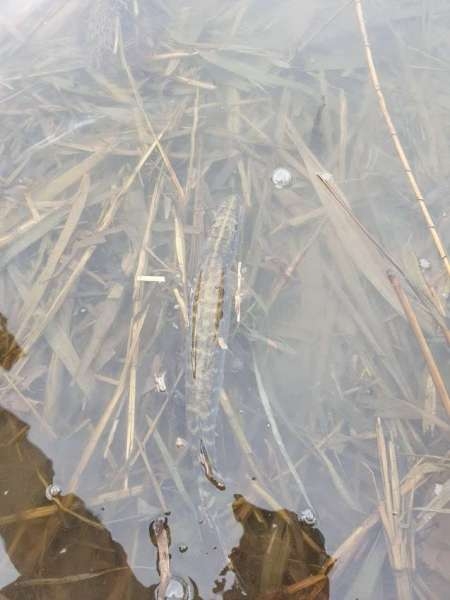 Хмуро и серо, но на рыбалку все равно