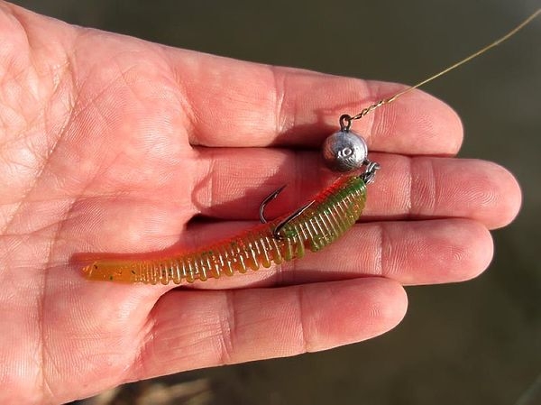 Хвосты оборваты, но щуки пойматы! Хвосты оборваты, но щуки пойматы!