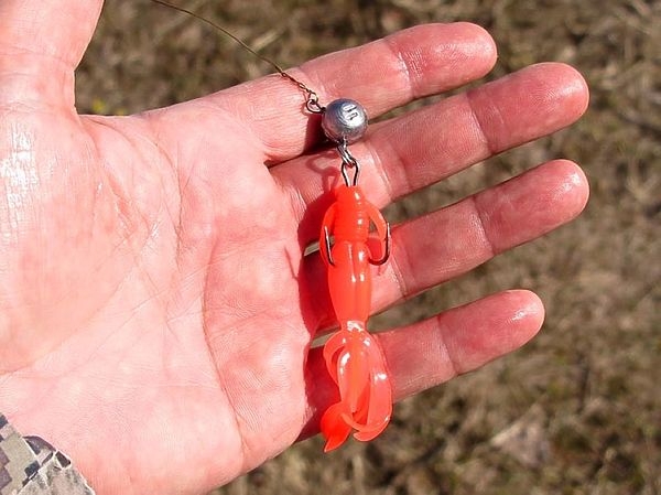 Хвосты оборваты, но щуки пойматы! Хвосты оборваты, но щуки пойматы!