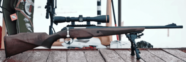 Карабин Лось 10