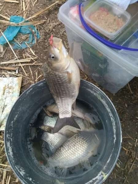 Когда очень хочется, всё получится! Когда очень хочется, всё получится!