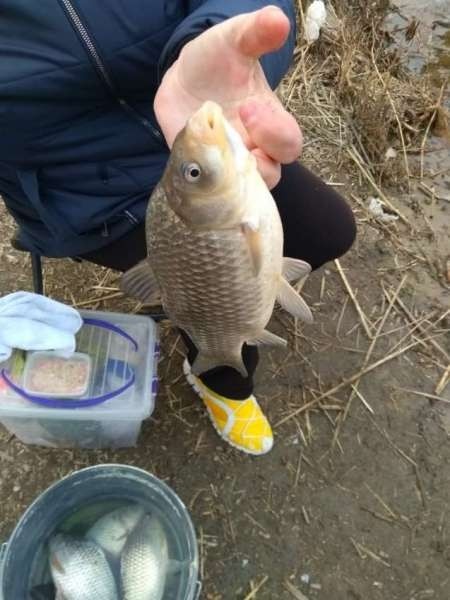 Когда очень хочется, всё получится! Когда очень хочется, всё получится!