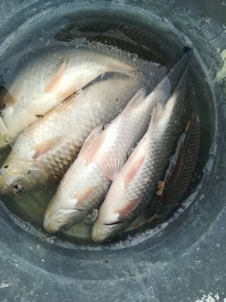 Когда очень хочется, всё получится! Когда очень хочется, всё получится!