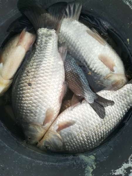 Когда очень хочется, всё получится! Когда очень хочется, всё получится!