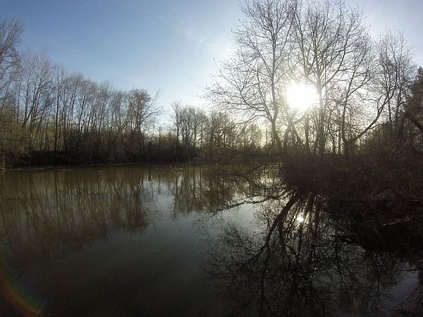 Ловим налимов весной