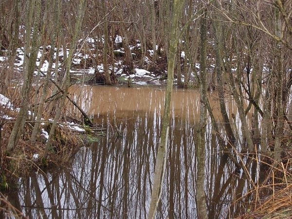 Ловля в половодной речке Ловля в половодной речке