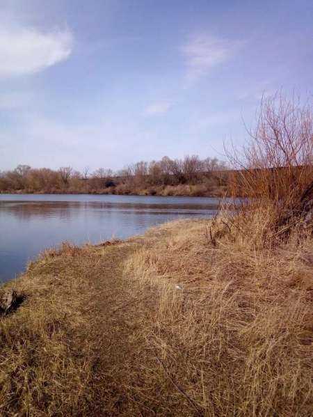 Мартовский голавль