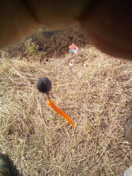 Мартовский голавль