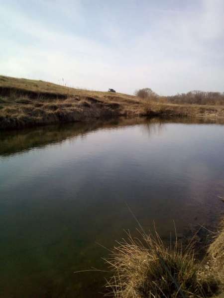 Мартовский голавль