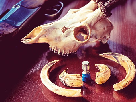 Не по калибру Не по калибру