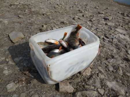 Новая резина в последний день зимы