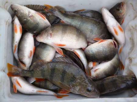 Новая резина в последний день зимы