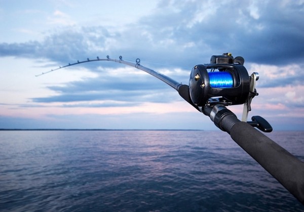 Обзор кастинговых удилищ. Выбираем спиннинг для моря