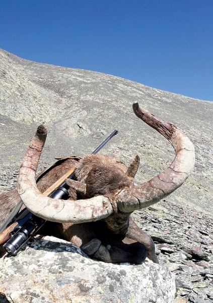 Пиетта выпустила недорогой и качественный карабин