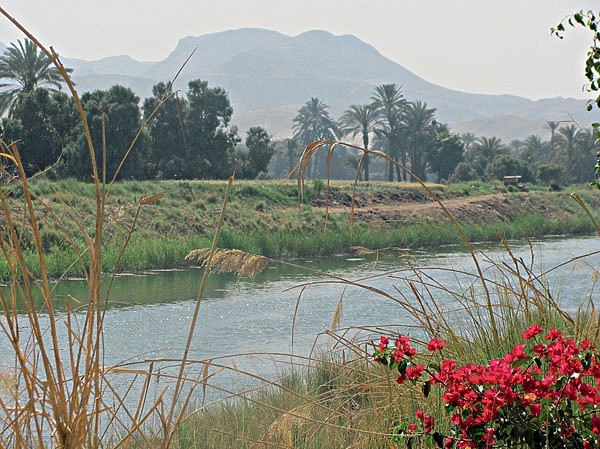 Плыла по Нилу фелюга