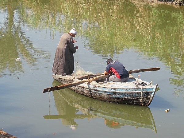 Плыла по Нилу фелюга