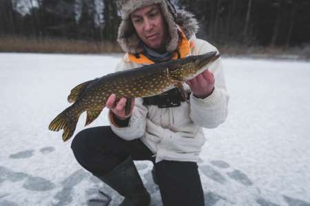 Поставили жерлицы на старых лунках... Поставили жерлицы на старых лунках...