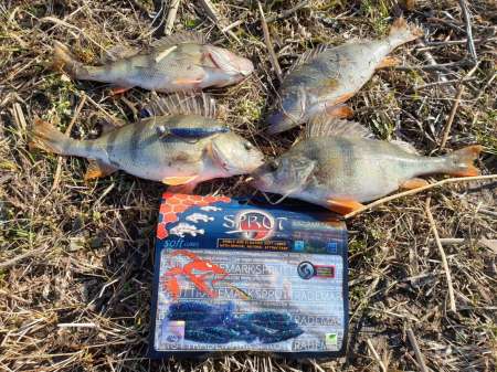 Рыбалки всё лучше и лучше. Весна! За окунем!