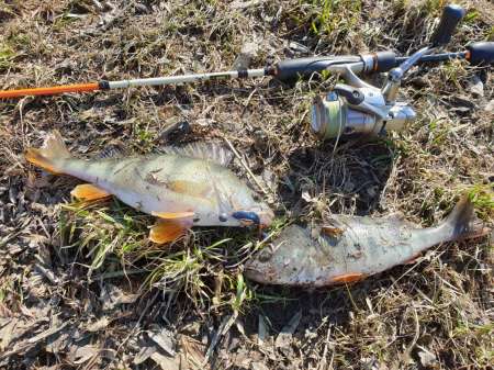 Рыбалки всё лучше и лучше. Весна! За окунем!